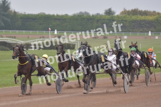 COURSES A ARGENTAN - 03-11-2024