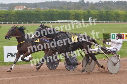 COURSES A ARGENTAN - 03-11-2024