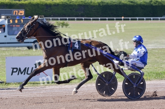 COURSES A ARGENTAN 10-08-2024