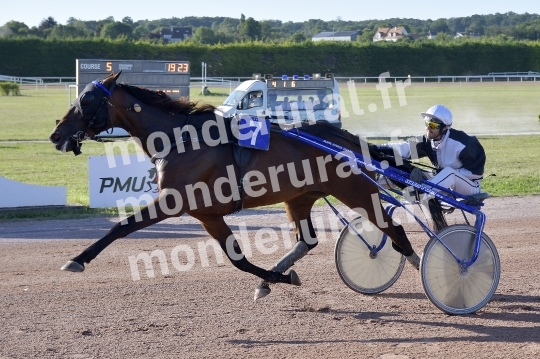 COURSES A ARGENTAN 10-08-2024