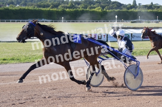 COURSES A ARGENTAN 10-08-2024