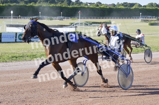 COURSES A ARGENTAN 10-08-2024