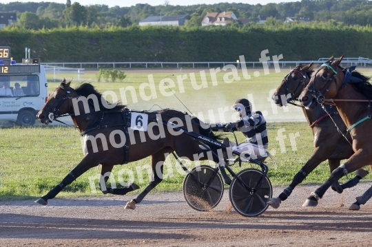 COURSES A ARGENTAN 10-08-2024