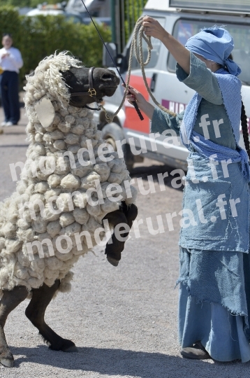 COURSES A CAEN - 10 MAI 2025