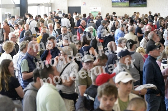 COURSES A CAEN - 10 MAI 2025