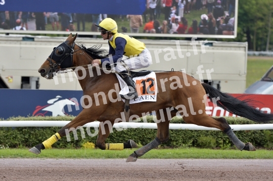 COURSES A CAEN - 10 MAI 2025