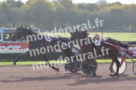 COURSES A CAEN (23/10/2022)