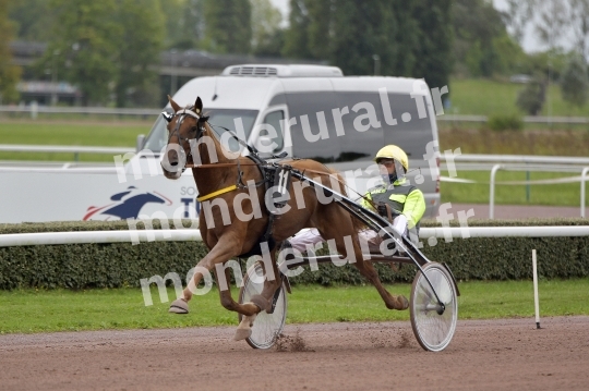 Courses de Caen 09-09-2024