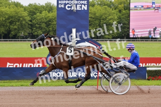 Courses de Caen 09-09-2024