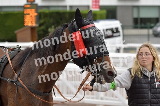MONDAINE