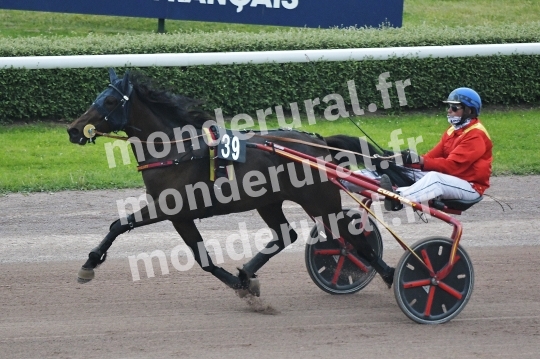 NOCE ROYALE