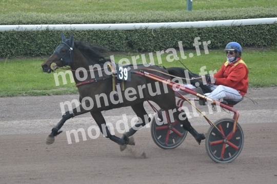 NOCE ROYALE