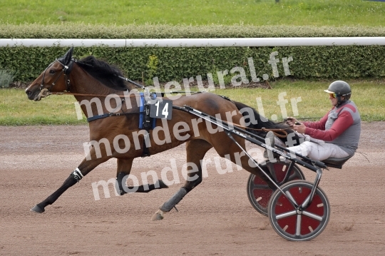 NORMANDIE NIEMEN