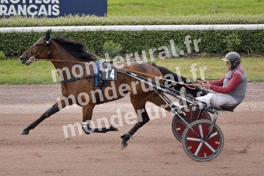 NORMANDIE NIEMEN