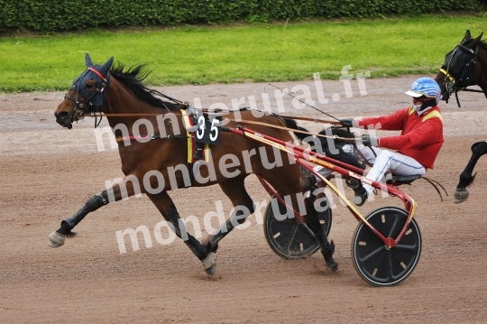 NOVA DE CELLAND