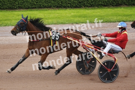 NOVA DE CELLAND