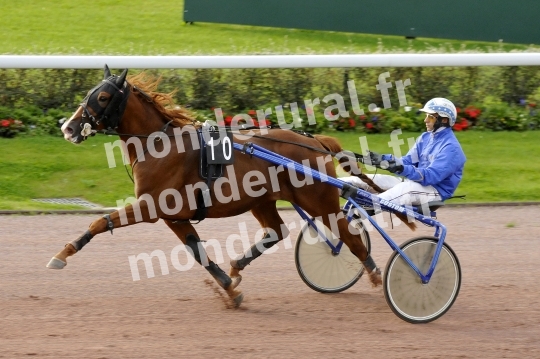 Qualifications a Caen du jeudi 24 septembre 2015