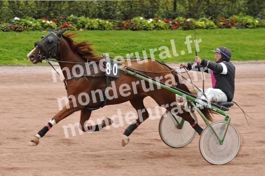 Qualifications a Caen du mardi 20 octobre 2015