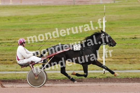 Seance de qualifications a Le Mans du jeudi 5 novembre 2015