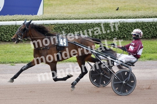 SPEEDY WINNI - SWE