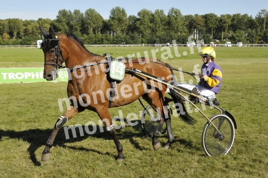 Trophee Vert - Carentan