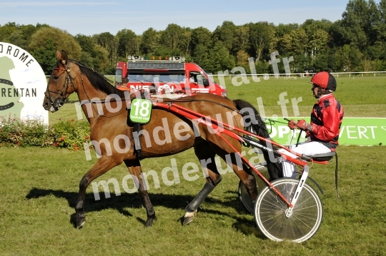 Trophee Vert - Carentan