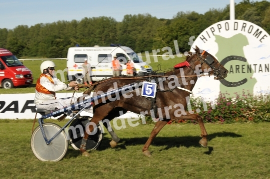 Trophee Vert - Carentan