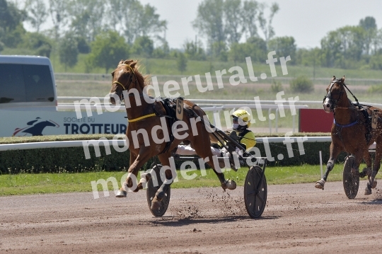 CAEN - JOURNEE DES DUCS 2026