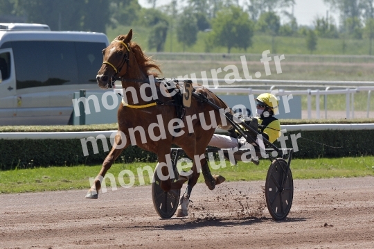 CAEN - JOURNEE DES DUCS 2026