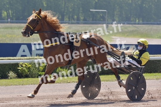 CAEN - JOURNEE DES DUCS 2026