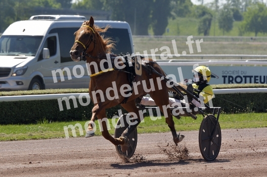 CAEN - JOURNEE DES DUCS 2026