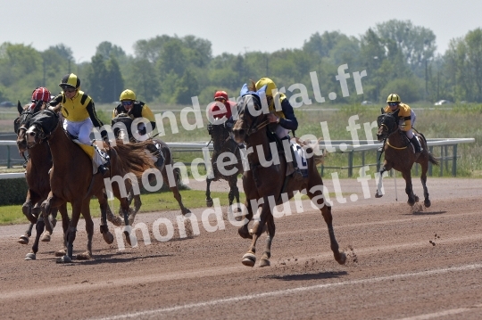 CAEN - JOURNEE DES DUCS 2026