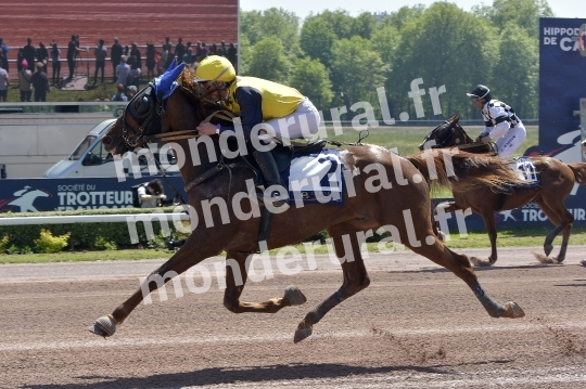 CAEN - JOURNEE DES DUCS 2026