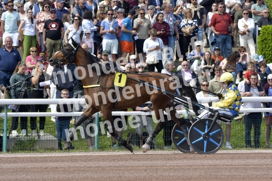 CAEN - JOURNEE DES DUCS 2026
