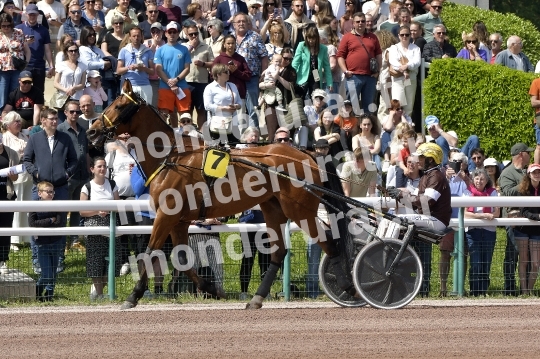 CAEN - JOURNEE DES DUCS 2026