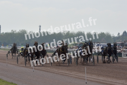 CAEN - JOURNEE DES DUCS 2026