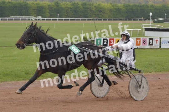 COURSES A ARGENTAN - 03-11-2024