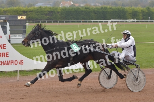 COURSES A ARGENTAN - 03-11-2024