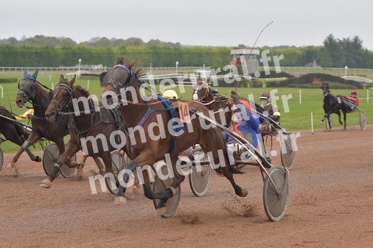 COURSES A ARGENTAN - 03-11-2024