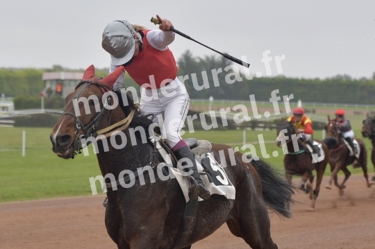 COURSES A ARGENTAN - 03-11-2024