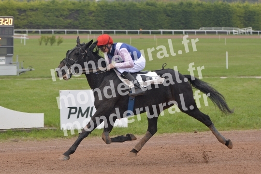 COURSES A ARGENTAN - 03-11-2024