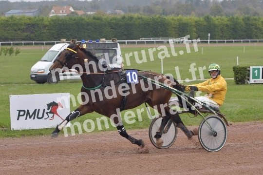 COURSES A ARGENTAN - 03-11-2024