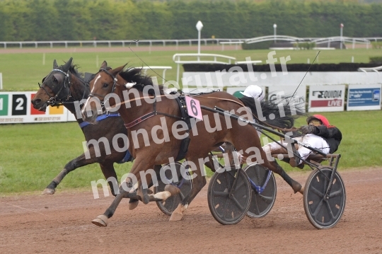 COURSES A ARGENTAN - 03-11-2024