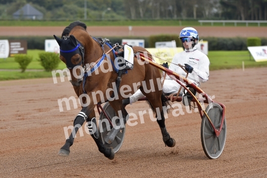 COURSES A CHERBOURG - 25-09-2024