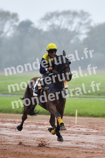 COURSES A CHERBOURG - 25-09-2024