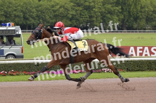 Courses de Caen 09-09-2024