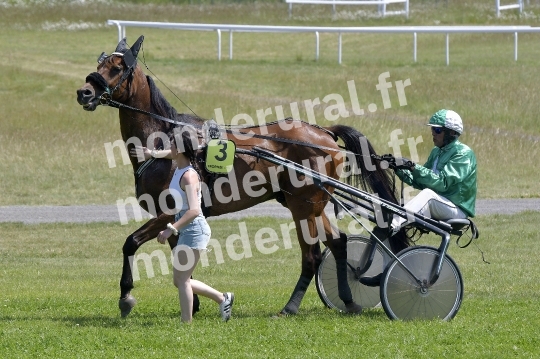 COURSES DE GRANVILLE - 24 MAI 2026