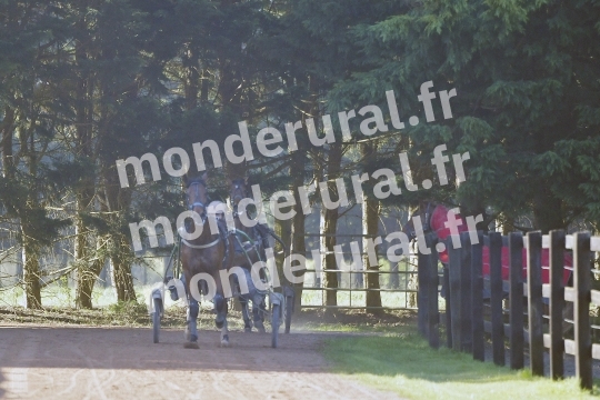 ECURIE MARIUS COIGNARD