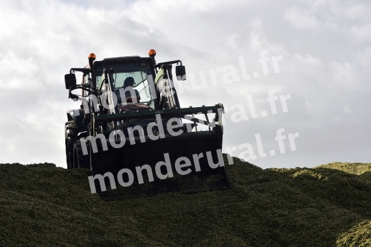 Ensilage de mais
