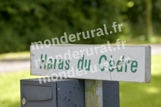 HARAS DU CEDRE